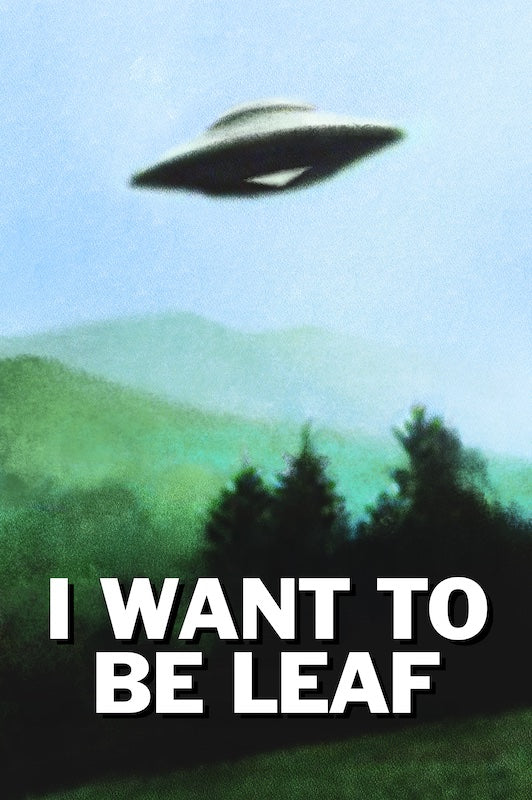I Want To Be Leaf Tour Poster